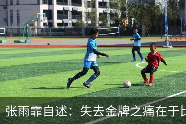 张雨霏自述：失去金牌之痛在于比赛状态的异常失常