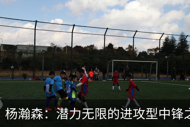杨瀚森：潜力无限的进攻型中锋之路