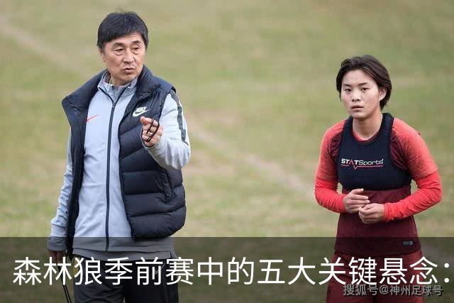森林狼季前赛中的五大关键悬念：新阵容的前景分析